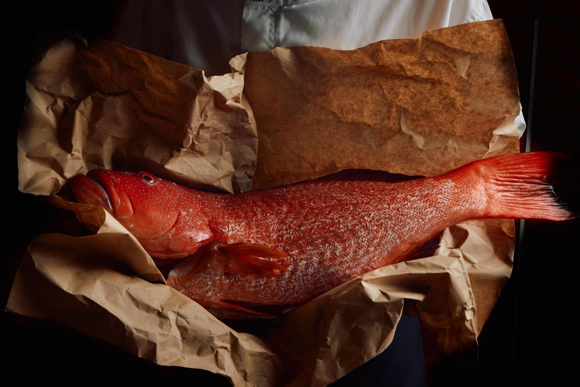 Park Hyatt Melbourne Hotel Buitenkant foto A smoked turbot